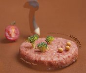 未来持续发展的方向：挖掘植物肉作为菜品的多样性、借助成熟产品深度走进中式餐饮【重庆火锅底料批发在哪里】
